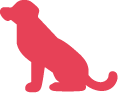 Mascotas rojo
